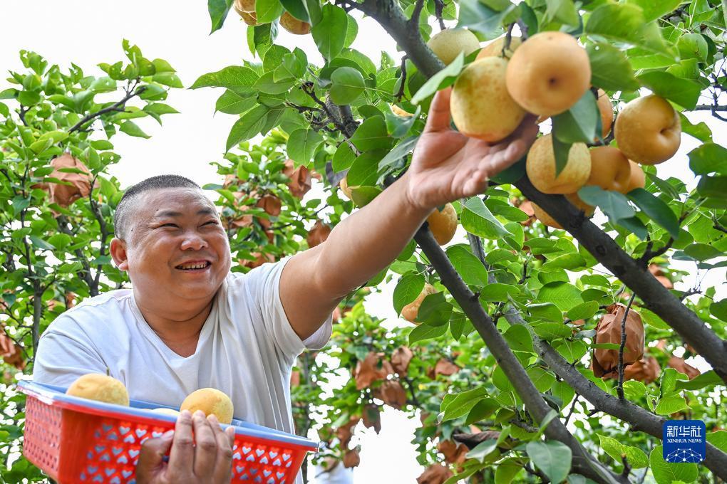 宝马车下载